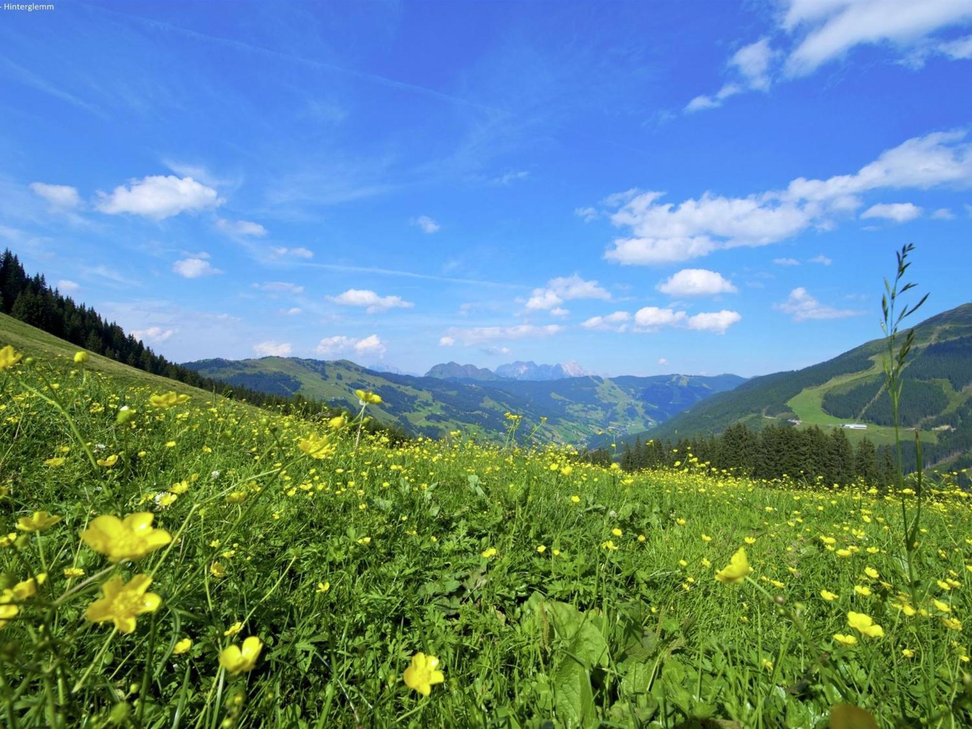 Chalet Apartment In Saalbach Hinterglemm Kültér fotó